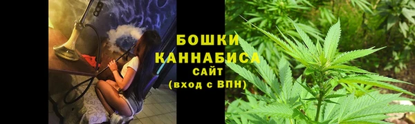 2c-b Богородицк