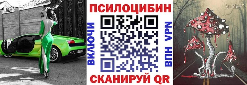 где продают   Кореновск  Псилоцибиновые грибы Psilocybine cubensis 